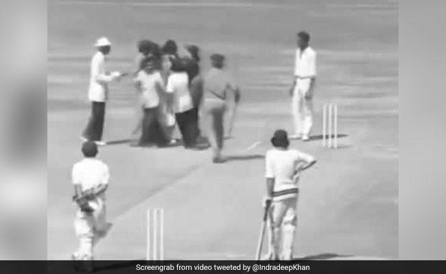 बॉलीवुड एक्ट्रेस ने शेयर किया वीडियो, क्रिकेट मैदान में साड़ी पहने दौड़ रही थी महिला और फिर