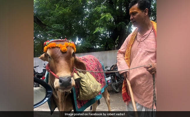 "Know Your Future From Sacred Cow": Robert Vadra On Facebook Video