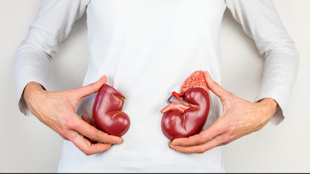 World Kidney Day 2020: Kidney stones, if not treated, may lead to kidney failure