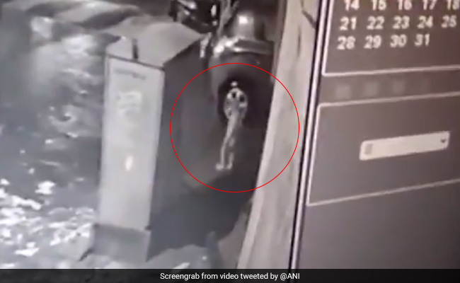 Father Of Toddler Who Fell In Drain Accuses Mumbai Civic Body Of Apathy