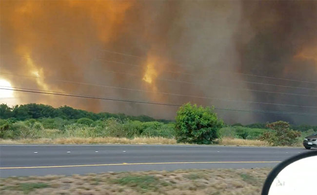 Hawaii Governor Declares Emergency In Maui For Wildfires