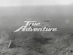 2020 Honda Africa Twin Officially Teased