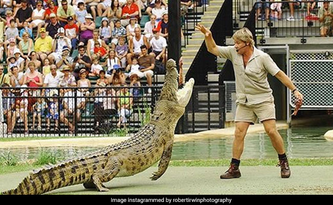 Steve Irwin's Son Recreates His Iconic Crocodile Pic After 15 Years