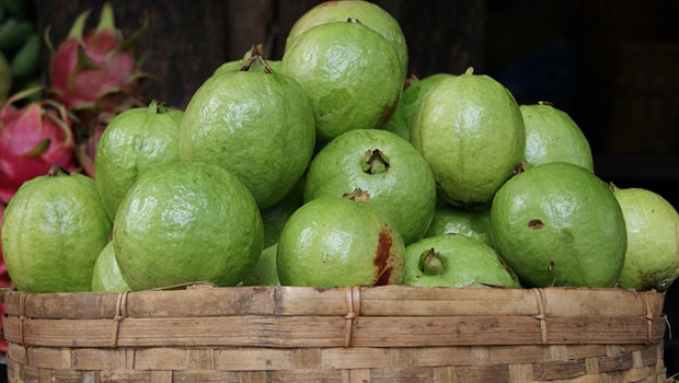 Guavas For Diabetes: 5 Reasons Why You Must Eat More Guavas To Manage Blood Sugar
