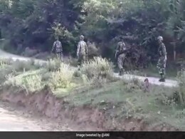 जम्मू-कश्मीर: शोपियां में सुरक्षा बलों और आतंकवादियों के बीच मुठभेड़ जम्मू-कश्मीर: शोपियां में सुरक्षा बलों और आतंकवादियों के बीच मुठभेड़