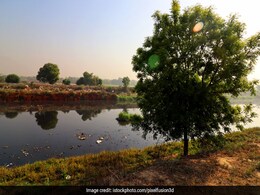 16 साल की बेटी को मां-बाप ने मारा, फिर बैग में भरकर गंगा में फेंका 16 साल की बेटी को मां-बाप ने मारा, फिर बैग में भरकर गंगा में फेंका