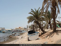 Saudi Prince's $500 Billion Megacity Shows Signs Of Life Saudi Prince's $500 Billion Megacity Shows Signs Of Life
