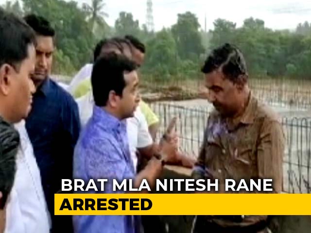 Akash Vijayvargiya To Nitesh Rane, Why Are Errant Lawmakers Not Immediately Disqualified?