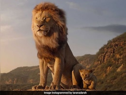 What The Zulu Opening Line Of <i>The Lion King</i> Title Song Means, Hilarious Viral Video Reveals