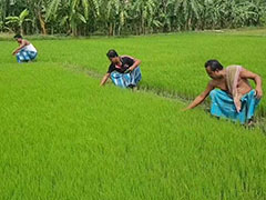 Heranba Industries IPO To Open On Tuesday. All You Need To Know