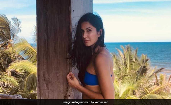 'Hope You Didn't Walk Into The Pillar While Posing:' Arjun Kapoor Trolls Katrina Kaif
