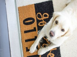 7 Trendy Doormats To Add A New Look To Your Home 7 Trendy Doormats To Add A New Look To Your Home