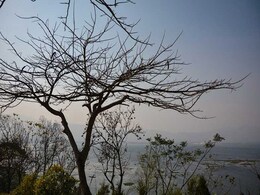 Economic Survey Warns Of Climate Change's Effects On Water Resources Economic Survey Warns Of Climate Change's Effects On Water Resources