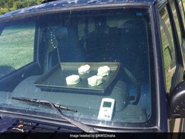 Biscuits Start Baking In Hot Car During Heat Wave Biscuits Start Baking In Hot Car During Heat Wave