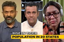 33% Rise In Tiger Numbers: Is The National Animal Now Safe? 33% Rise In Tiger Numbers: Is The National Animal Now Safe?