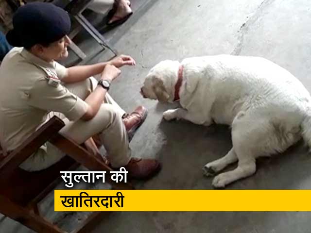 मध्यप्रदेश के थाने में हो रही 'सुल्तान' की खातिरदारी