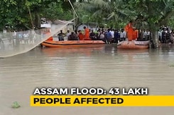 43 Lakh Affected, 95% Of Kaziranga Park Flooded In Assam 43 Lakh Affected, 95% Of Kaziranga Park Flooded In Assam