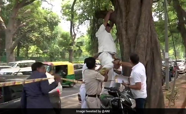 Congress Worker Threatens Suicide Over Rahul Gandhi's Decision To Resign
