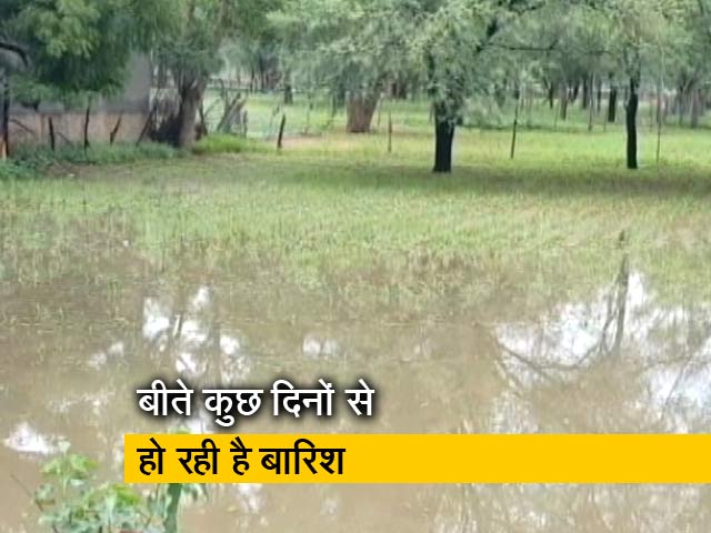 राजस्थान में बारिश के बाद भी पेयजल संकट बरकरार