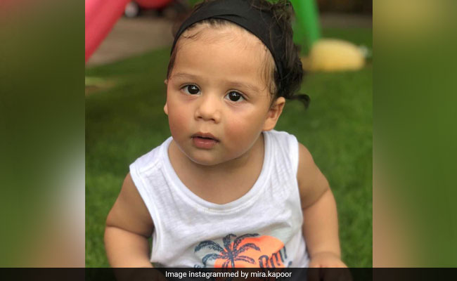 Mira Rajput Shares An Adorable Pic Of 'Baby Bear' Zain. The Internet Loves It