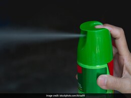 Use These 7 Insect Repellents To Stay Safe This Season Use These 7 Insect Repellents To Stay Safe This Season