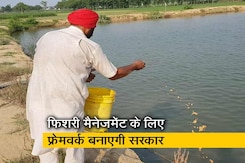 बजट में हुई फिशरी मैनेजमेंट के लिए फ्रेमवर्क बनाने की घोषणा, पंजाब के किसान नाखुश बजट में हुई फिशरी मैनेजमेंट के लिए फ्रेमवर्क बनाने की घोषणा, पंजाब के किसान नाखुश
