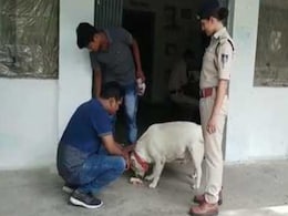 जघन्य हत्याकांड के बाद पूरा परिवार जेल में, पुलिस चौकी में 'सुल्तान' की हो रही खातिरदारी जघन्य हत्याकांड के बाद पूरा परिवार जेल में, पुलिस चौकी में 'सुल्तान' की हो रही खातिरदारी