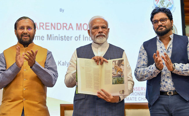 "From <i>Ek Tha Tiger</i> To <i>Tiger Zinda Hai</i>...": On International Tiger Day, PM Cheers India's Tiger Census
