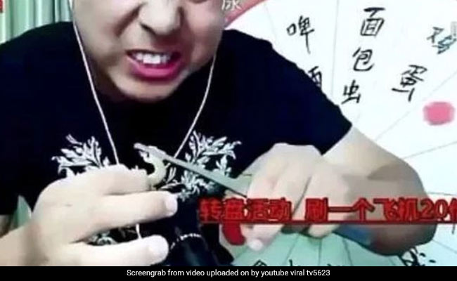 YouTube पर लाइव वीडियो में जिंदा छिपकली और कनखजूरा खा रहा शख्स, तभी हुआ बेहोश और फिर...देखें VIDEO