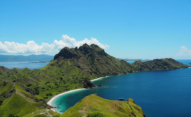 Indonesia To Close Island To Conserve Rare Komodo Dragons