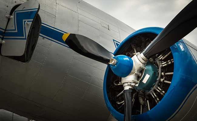 When A Turtle Nearly Got Sucked Into Passenger Plane's Engine