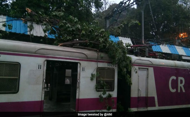 Suburban Train Services Hit After Tree Branches Fall On Mumbai Local