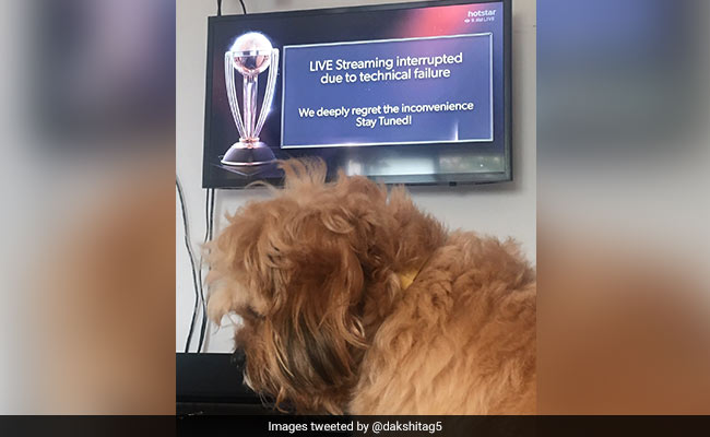 India vs New Zealand: Hotstar यूजरों को मैच देखने में हुई दिक्कत तो ट्विटर पर फूटा गुस्सा