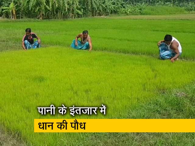 रवीश कुमार का प्राइम टाइम: सिंचाई के लिए पानी कब तक खरीद पाएंगे?