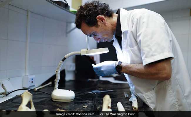 Israeli Soldier Went Missing 37 Years Ago. DNA Testing Brought Body Home