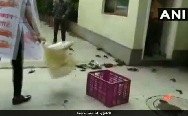 Crabs Thrown At Maharashtra Minister's Home Over Dam Breach Remark