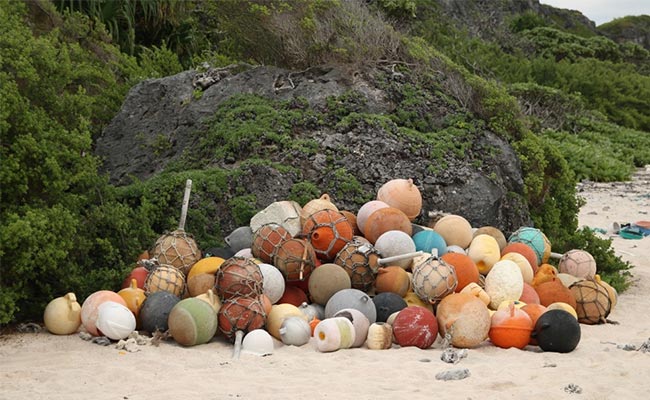 Plastic Junk Spawns Desert Island Disaster In Pacific