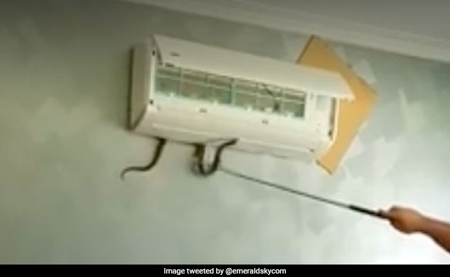 AC के शोर से परेशान था शख्स, खोलकर देखा तो निकल गई चीख, खुद ही देखें ये होश उड़ा देने वाली Photo