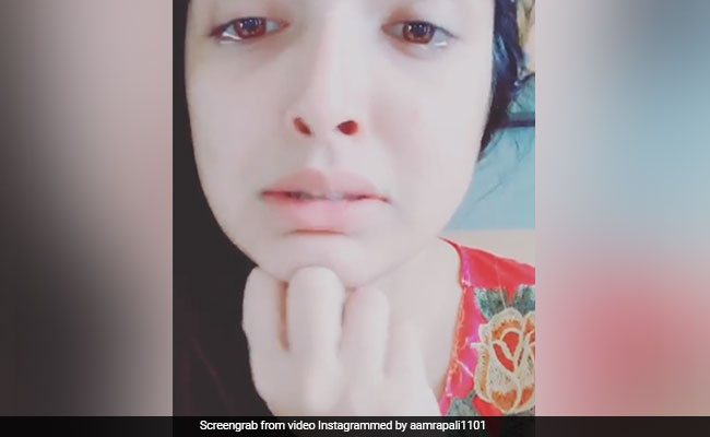 Bhojpuri Cinema: आम्रपाली दुबे के वीडियो ने मचाया हंगामा, बोलीं- मेरे नाना ने सारे रिश्ते तोड़ लिए हैं...