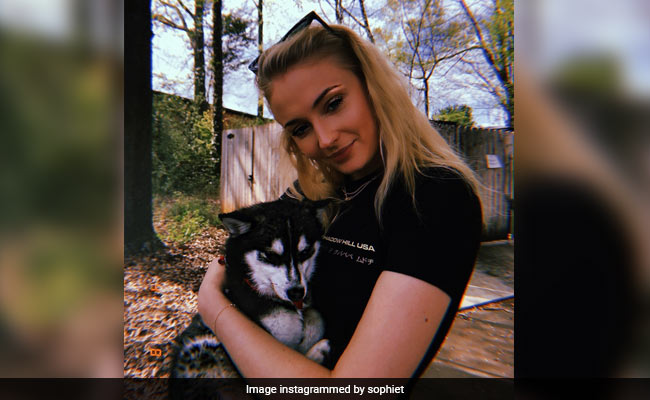 Sophie Turner And Joe Jonas' Dog Dies In 'Freak Accident': Reports