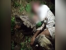 Accused Of Killing Peacocks, Madhya Pradesh Man Thrashed To Death By Mob Accused Of Killing Peacocks, Madhya Pradesh Man Thrashed To Death By Mob