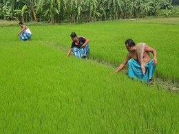 India Is The Top Exporter Of Virtual Water As Cities Stare At Scarcity India Is The Top Exporter Of Virtual Water As Cities Stare At Scarcity