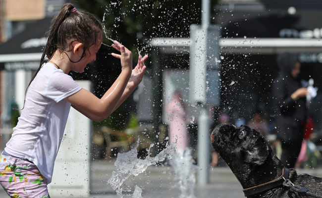 Belgium Records Highest Temperature At 40.2 Degrees