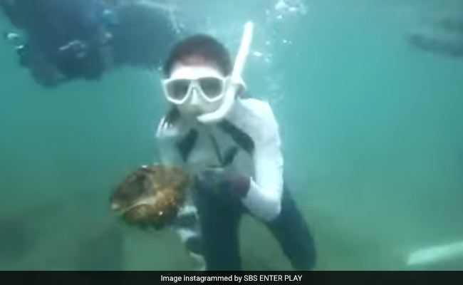 Korean Actor, Who Catches Endangered Clams On TV, Faces 5 Years In Jail