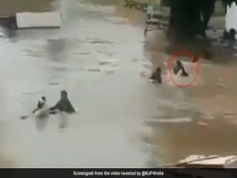 After Minister's Flood Selfie, BJP Video Shows Him Swimming To Village After Minister's Flood Selfie, BJP Video Shows Him Swimming To Village