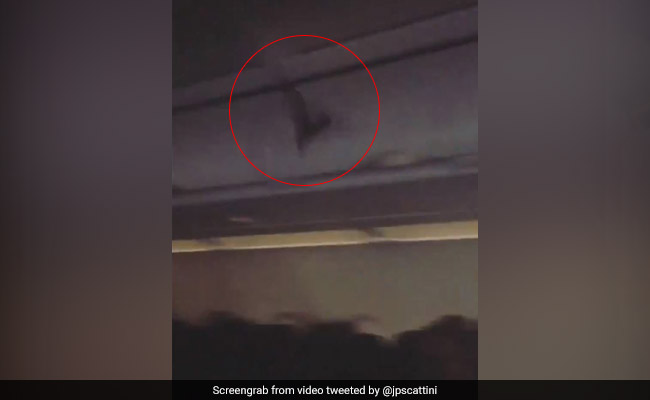 "Hey Batman": Passengers Of US Airline Get An In-Flight Surprise