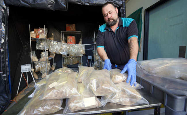4 British Men Arrested In Huge Australia, New Zealand Drug Bust