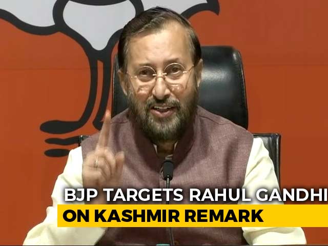 "Wayanad Win Changed Mindset": Minister On Rahul Gandhi's Kashmir Remarks