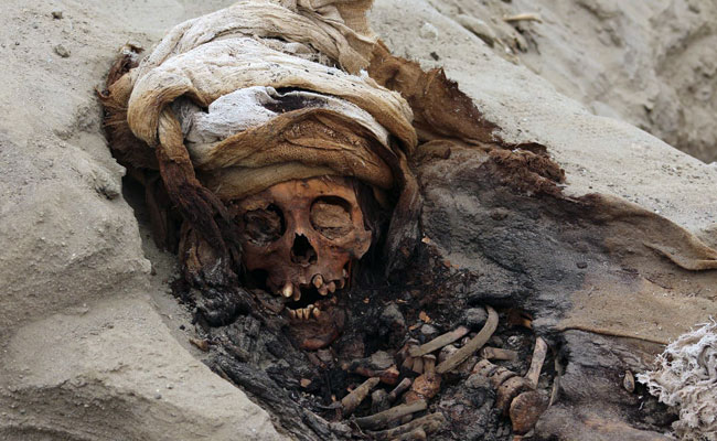 Remains Of 227 Sacrificed Children Found In Peru