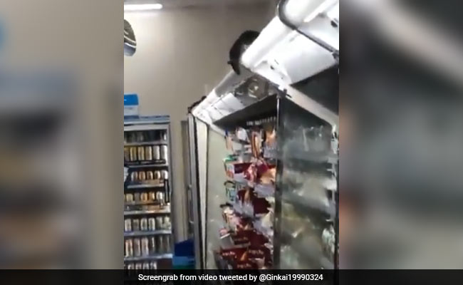 On Camera, Rats Run Over Stocked Display Racks, Fridge At Japan Store